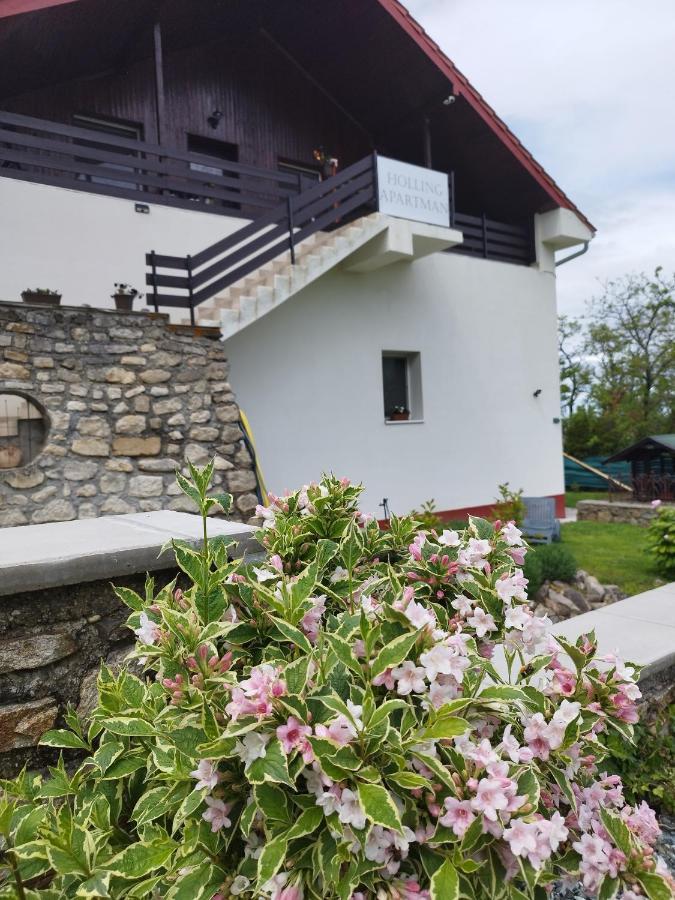 Holling Apartman Fertoboz ภายนอก รูปภาพ